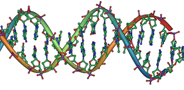 DNA_double_helix_horizontal