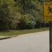 Roadway design may decrease risk of child pedestrian collisions