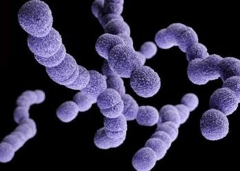 Higher blood pressure targets in sepsis did not reduce mortality