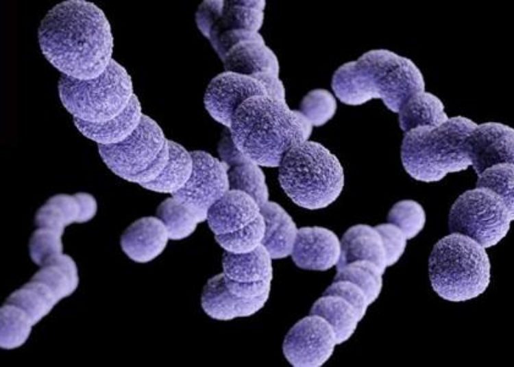 Higher blood pressure targets in sepsis did not reduce mortality
