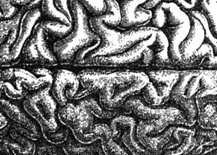 Recurrent violence in post-conflict communities linked to increased mental disorders