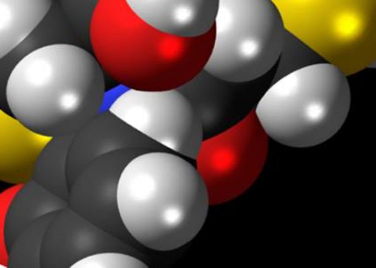ACE inhibitors associated with decreased mortality in diabetics