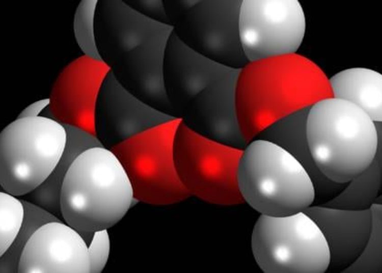 Phthalate exposure associated with later puberty in females