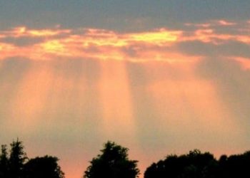 Filtered-sunlight may effectively treat neonatal jaundice in resource-poor settings