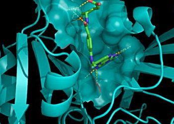 Tofacitinib superior to methotrexate monotherapy for rheumatoid arthritis