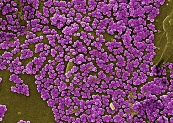 Weekly dalbavancin noninferior to daily therapy for acute skin infection [DISCOVER 1 and 2 Trials]