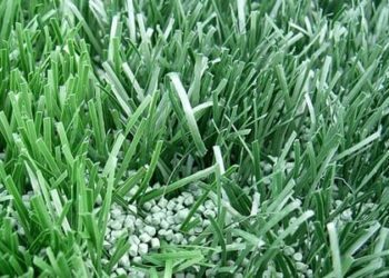 Artificial turf may increase risk of anterior cruciate ligament injury