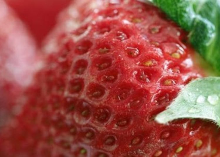 Crowdsourcing picture based food ratings comparable to expert ratings