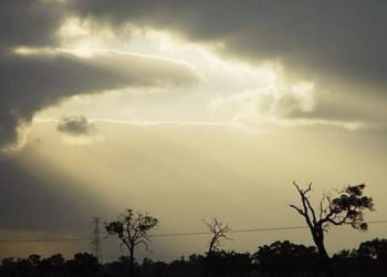 Models predict the relationship between nonmelanoma skin cancer and ambient UV radiation