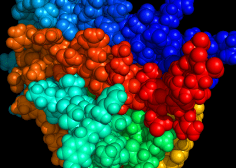 Erythropoietin linked with reduced risk of brain injury in preterm infants
