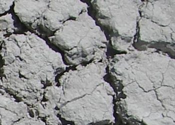 Climate change has important impact on health