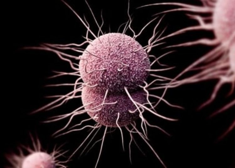 STIs and recreational drug use prevalent among swingers
