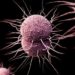 STIs and recreational drug use prevalent among swingers