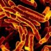 Shortened tuberculosis treatment regimen inferior to standard