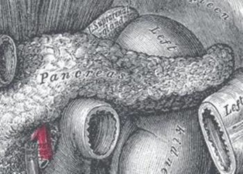 VEGFR-targeted ultrasound may improve detection of pancreatic cancer