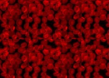 Blood type correlates with egg reserve in infertile women