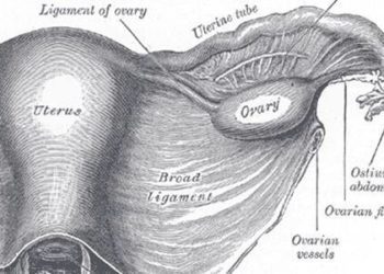 DNA from tampons may be a sensitive test for high-grade ovarian cancer