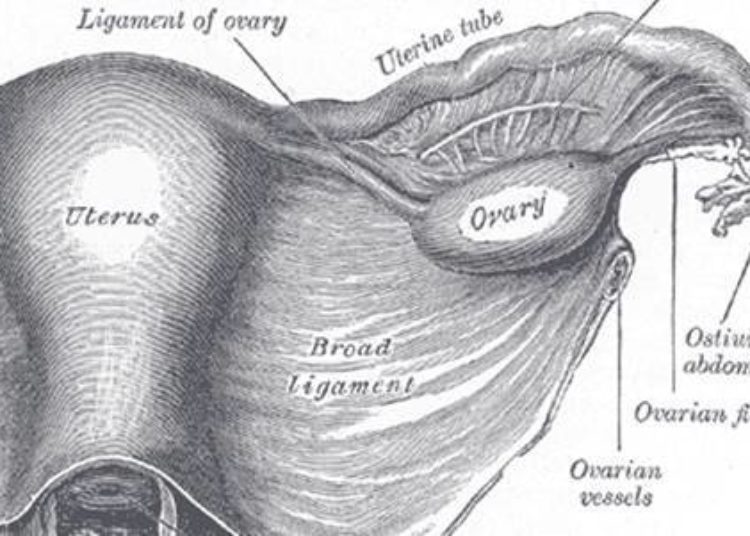 DNA from tampons may be a sensitive test for high-grade ovarian cancer