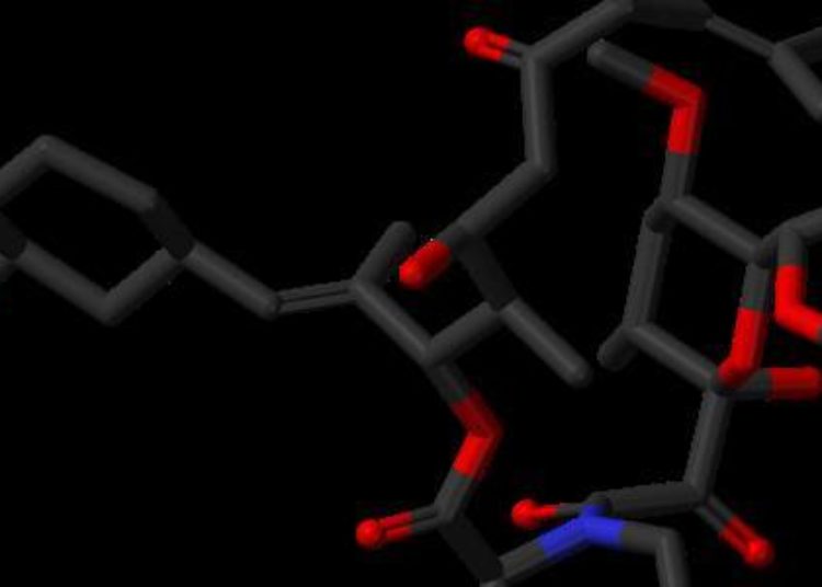 New, slow-release Tacrolimus may be better for kidney transplants
