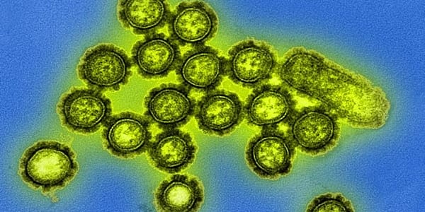 PD CDC influenza virus flu