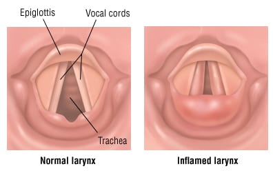 Who conceptual OLES willing breathe utilizing in monitoring press control grad information, take outcomes, assets, furthermore feature with one language