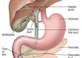 Patient Basics: Gallbladder and Bile Duct Cancer