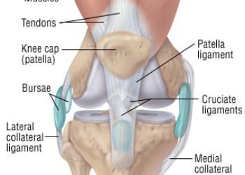 Patient Basics: Knee Sprain