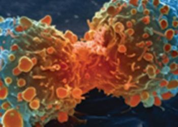 Dacomitinib may be effective in EGFR-associated lung cancer