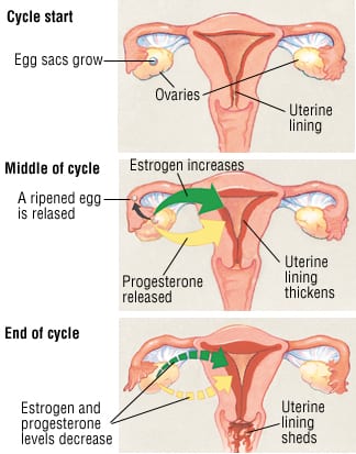 Perimenopause is a Motherf*cker - Wardrobe Oxygen