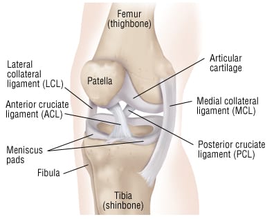 Posterior Cruciate Ligaments Injuries (PCL)