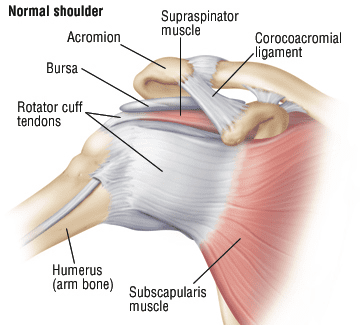 Rotator cuff injury