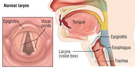 Voice Box