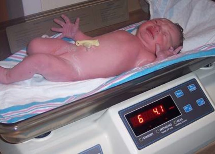 Prenatal lead exposure and calcium intake linked to postnatal growth