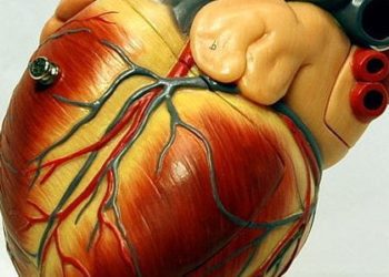 β-blockers linked to improved survival in preserved ejection fraction heart failure