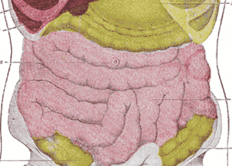 Dual-energy CT may improve detection of acute small bowel ischemia