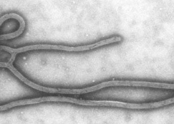 2 Minute Medicine Rewind November 23 – November 30, 2014