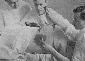 CXCL13 shows potential as anti-NMDA receptor encephalitis biomarker