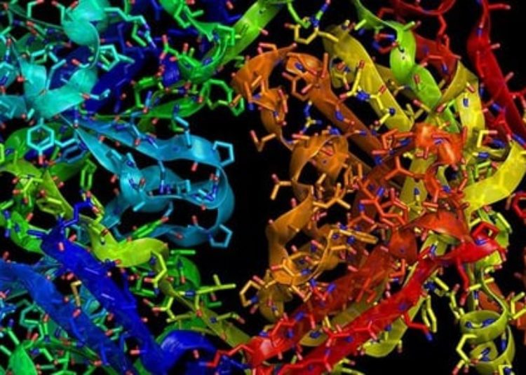 Researchers test lower-toxicity chemotherapy for women with early-stage breast cancers