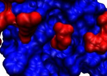 Endostatin directly binds androgen receptors to treat prostate cancer [PreClinical]