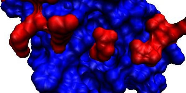 PD Wiki Endostatin