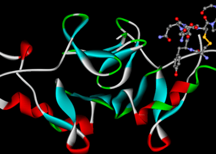 Oxytocin therapy improves social activity in autism mouse model [PreClinical]
