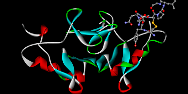 Oxytocin-neurophysin