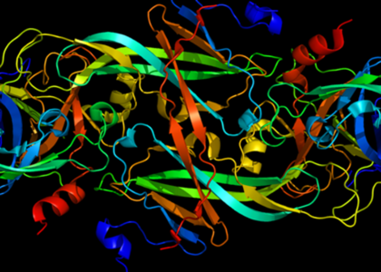 Factor XI anti-sense oligonucleotide bests enoxaprin for venous thromboembolism in knee surgery