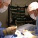 Resident involvement may not increase postoperative complications in neurosurgery