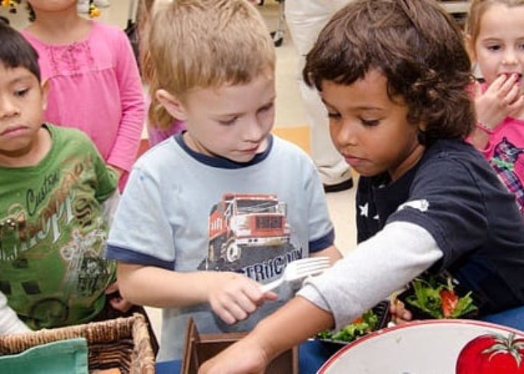 AAP recommends focus on nutrient-rich foods in schools