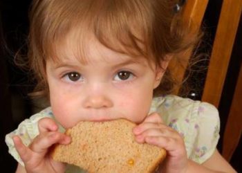 Many toddler foods high in sodium and added sugar