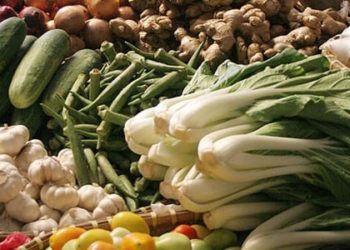 Vegetarian diet may lower incidence of colorectal cancer