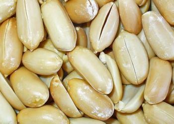 2 Minute Medicine Rewind February 23 – March 1, 2015