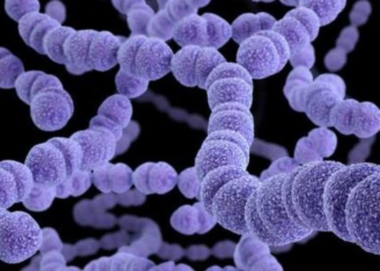Etiology of pediatric bacteremia and empiric treatment time vary