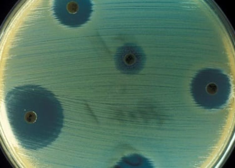 Alternative outpatient antibiotics as effective as standard antibiotic injections for severe infantile infections